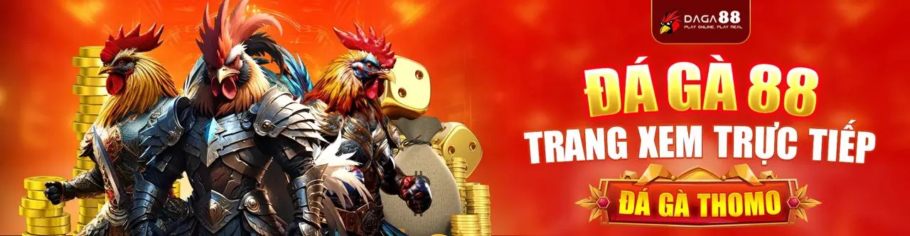 Đá gà trực tuyến winvn 11